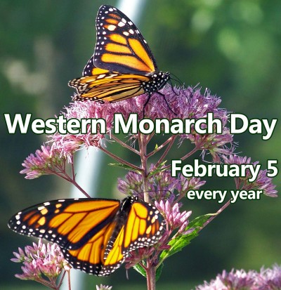 Image result for Western Monarch Day
