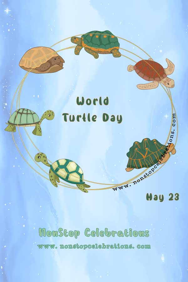 Celebrate World Turtle Day May 23 Nonstop Celebrations